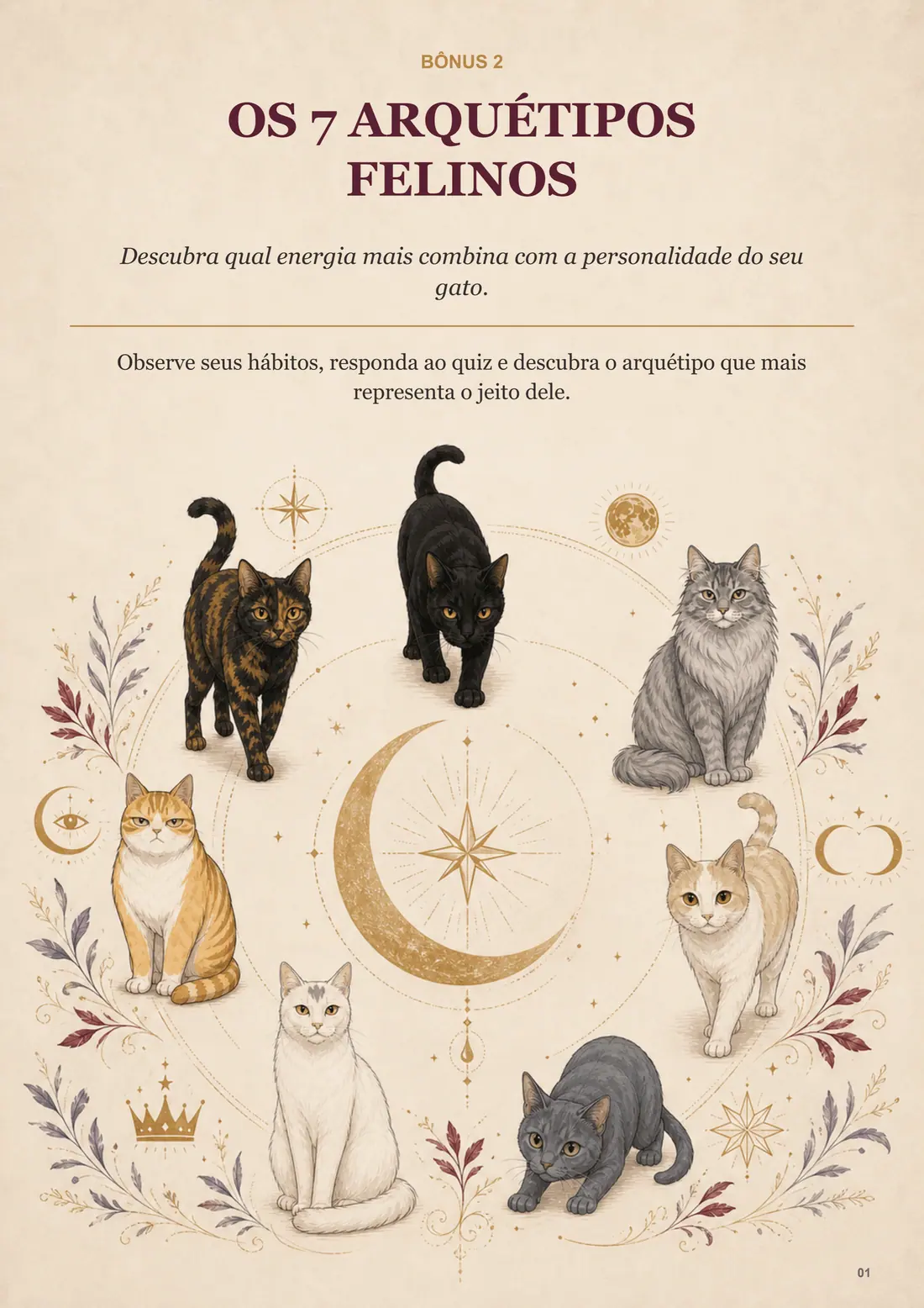 Os 7 Arquétipos Felinos, página 1